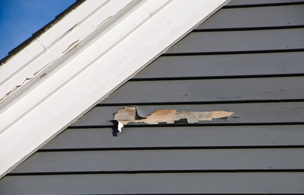 Best Stucco Siding  in Ball Ground, GA